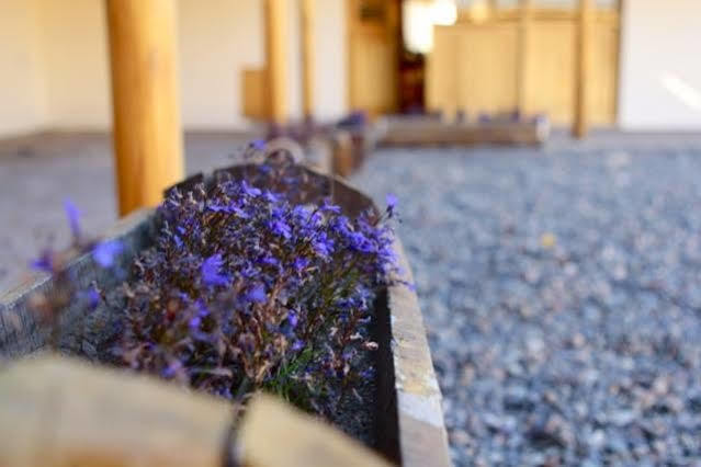 Hotel Tierra Mapuche Esquel Εξωτερικό φωτογραφία